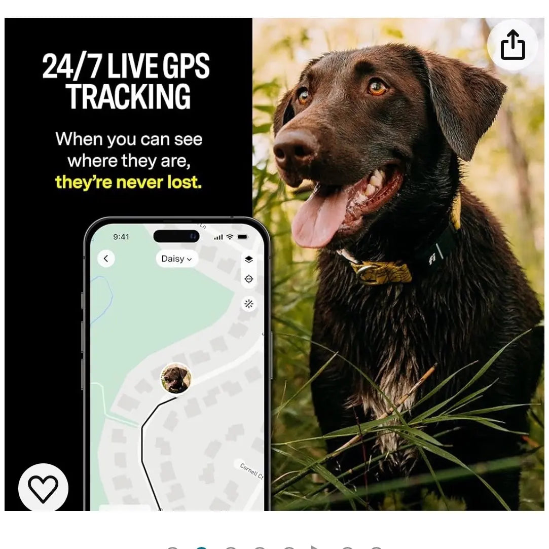 Smart Dog Collar with GPS Tracking and Monitoring Features