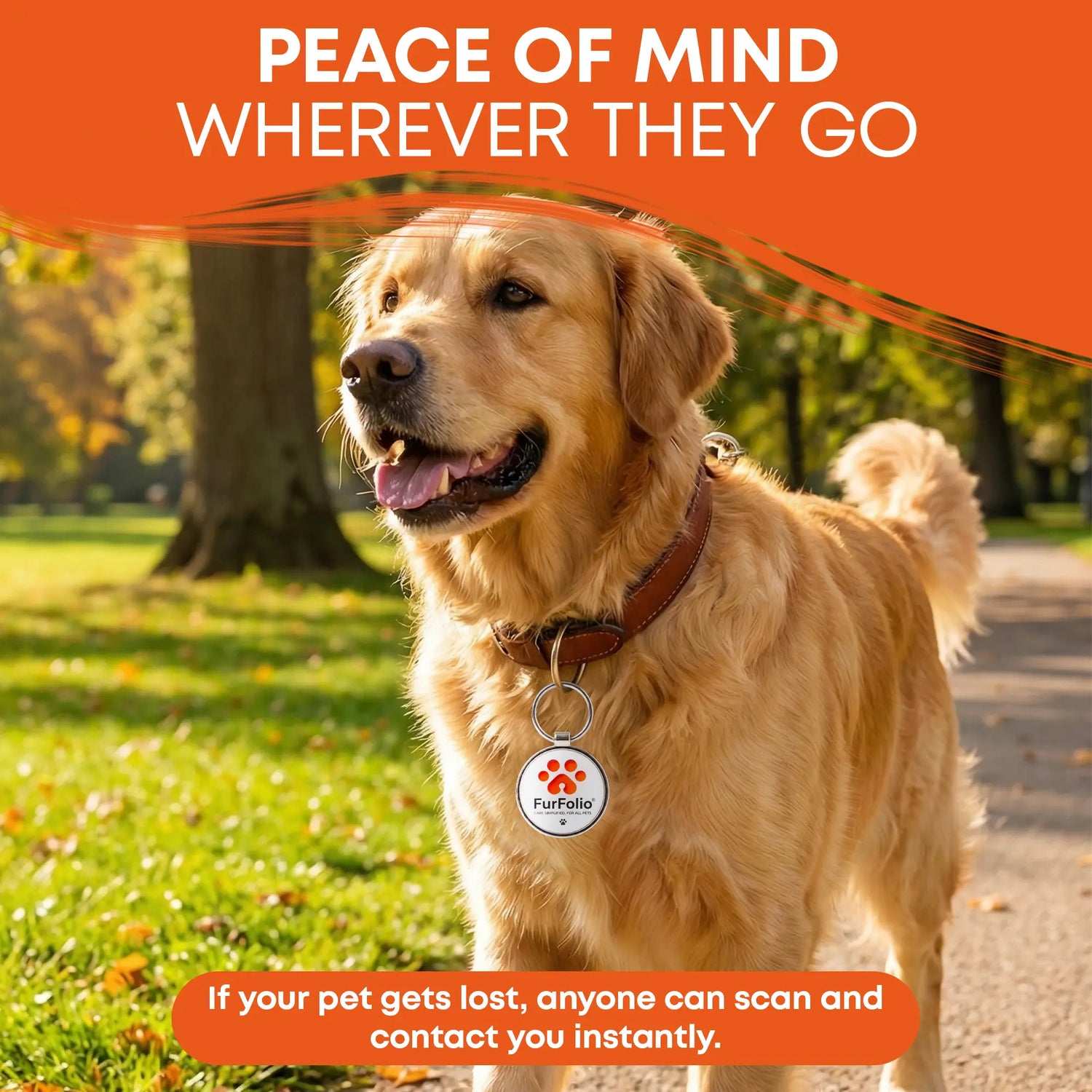 QR Code Pet Identification Tag – Smart Tag for Dogs and Cats – Owner Contact via Scan – Lost Pet Recovery – No Subscription Required