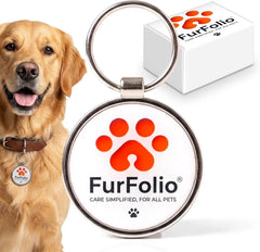 QR Code Pet Identification Tag – Smart Tag for Dogs and Cats – Owner Contact via Scan – Lost Pet Recovery – No Subscription Required