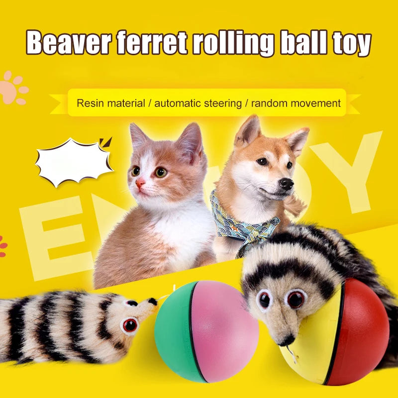 Cat Interactive Ball Toys Training Beaver Ball Toy Electric Beaver Weasel Toy Rolling Ball Jump Toys Moving in The Water Toys