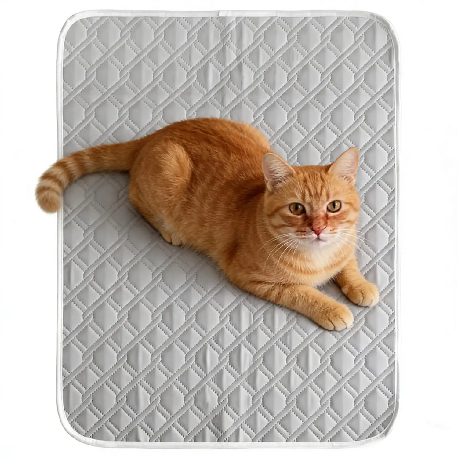 Cooling Pet Mat Breathable Washable Summer Pad Dog Cat Self Cool Blanket for Kennel Crate and Bed Sleeping Ice Pad Blanket