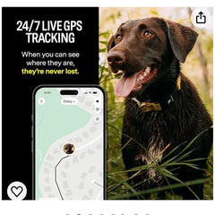 Smart Dog Collar with GPS Tracking and Monitoring Features