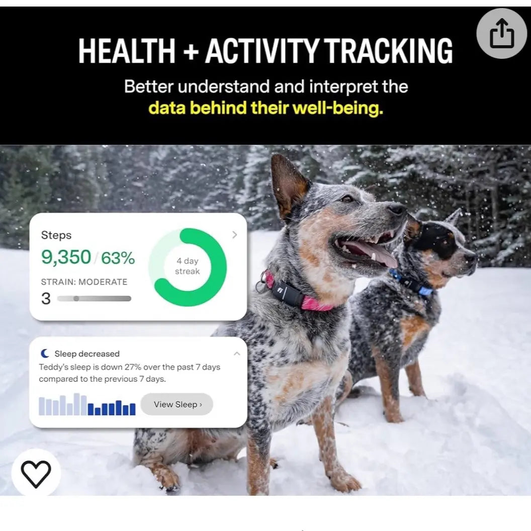 Smart Dog Collar with GPS Tracking and Monitoring Features
