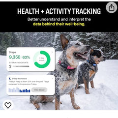 Smart Dog Collar with GPS Tracking and Monitoring Features